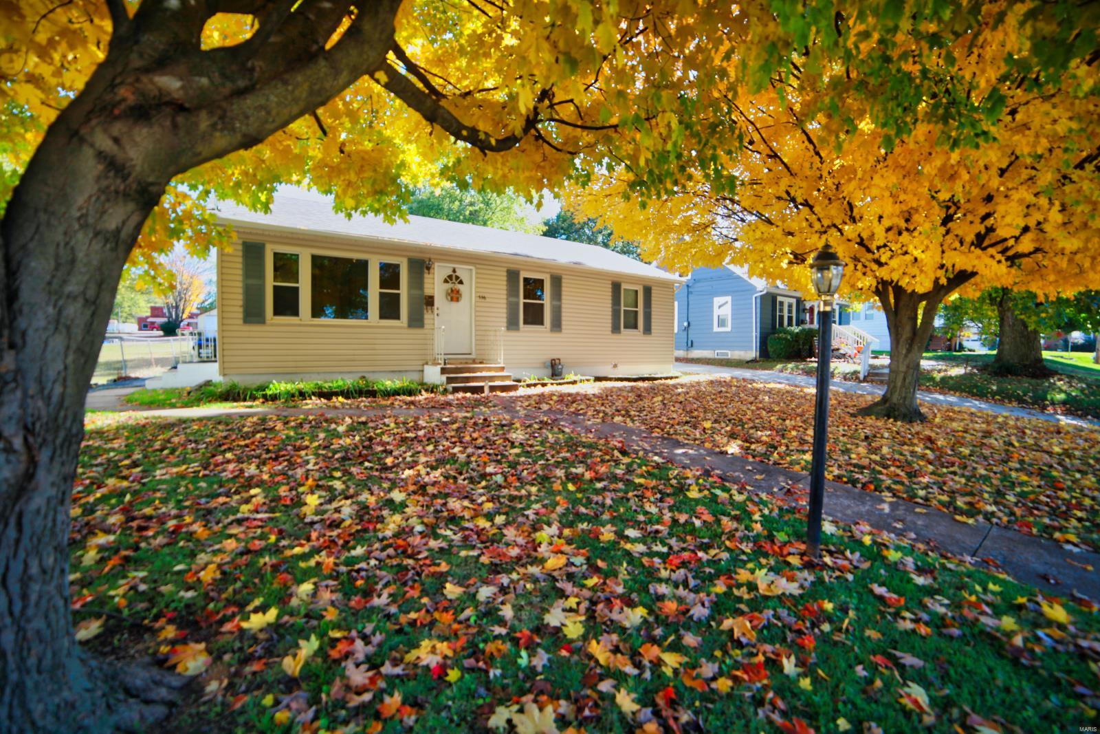 536 South Main Street Waterloo, IL 62298 - Photo 3 of 21 Gallery Image 3