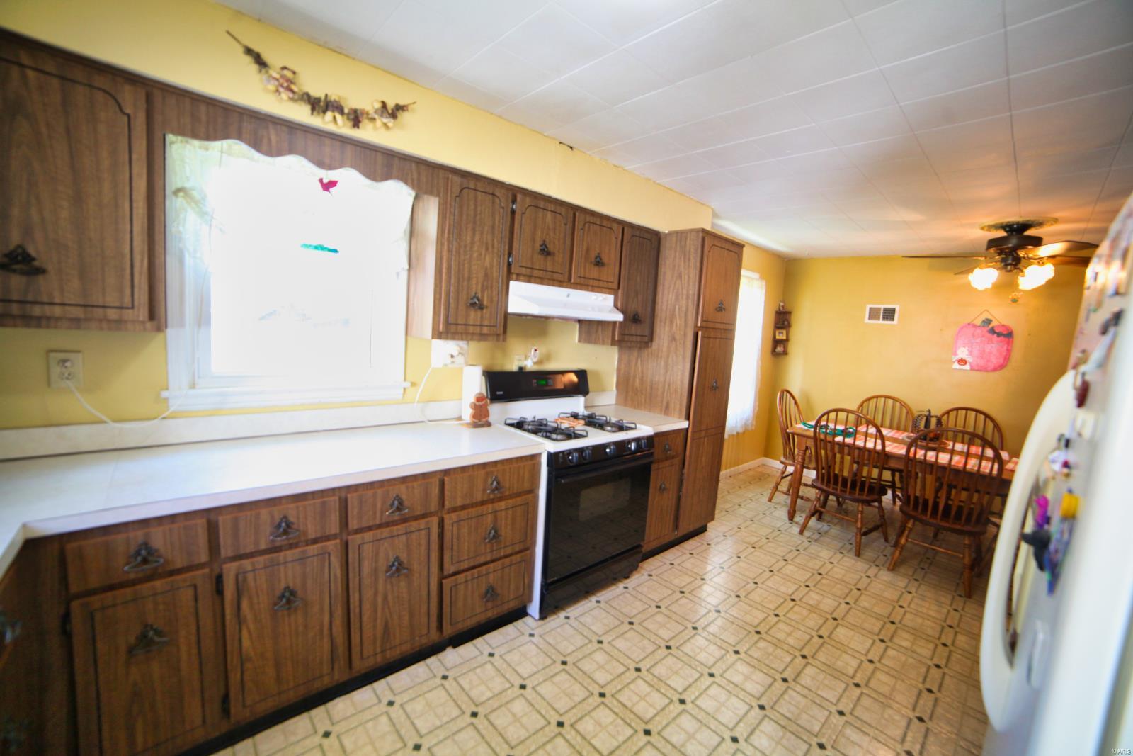 536 South Main Street Waterloo, IL 62298 - Photo 8 of 21 Gallery Image 8