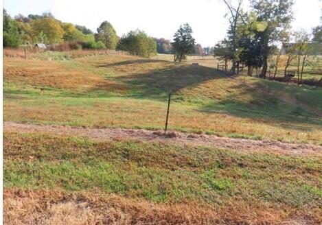 0 Buck Ridge Road Bidwell, OH 45614 - Photo 3 of 6 View of the land
