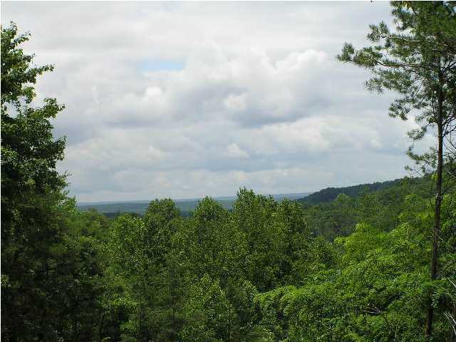 1000 Raven Cliff Road Graysville, TN 37327 - Photo 13 of 19 Additional Photo