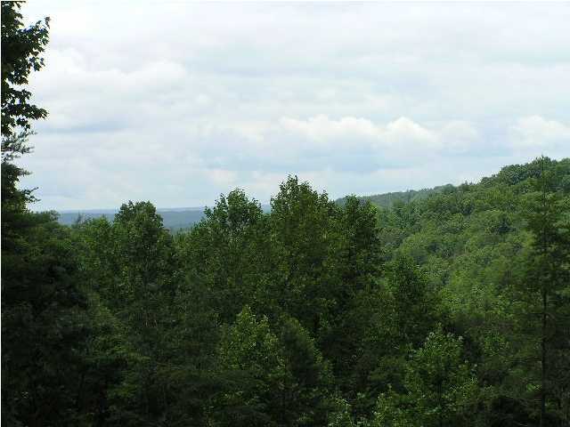 1000 Raven Cliff Road Graysville, TN 37327 - Photo 16 of 19 Additional Photo