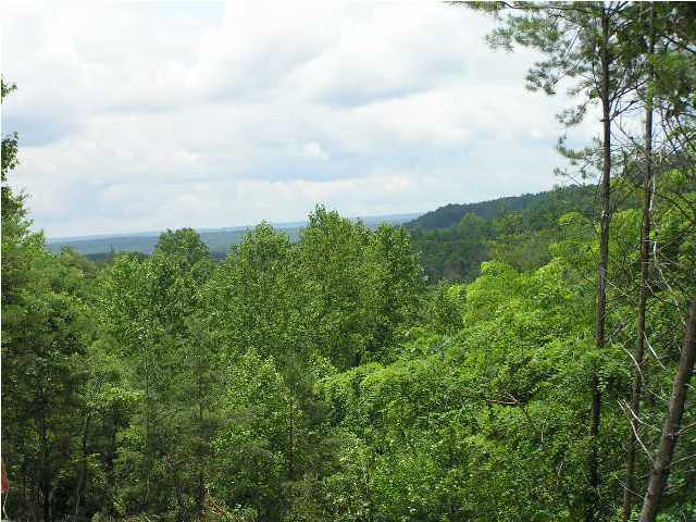 1000 Raven Cliff Road Graysville, TN 37327 - Photo 17 of 19 Additional Photo