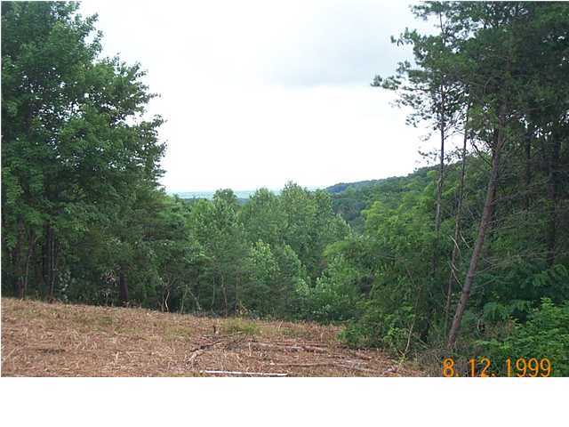 1000 Raven Cliff Road Graysville, TN 37327 - Photo 3 of 19 Additional Photo