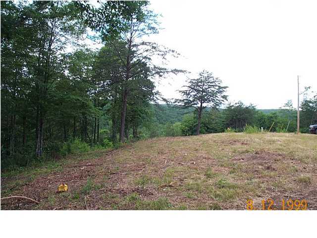 1000 Raven Cliff Road Graysville, TN 37327 - Photo 4 of 19 Additional Photo