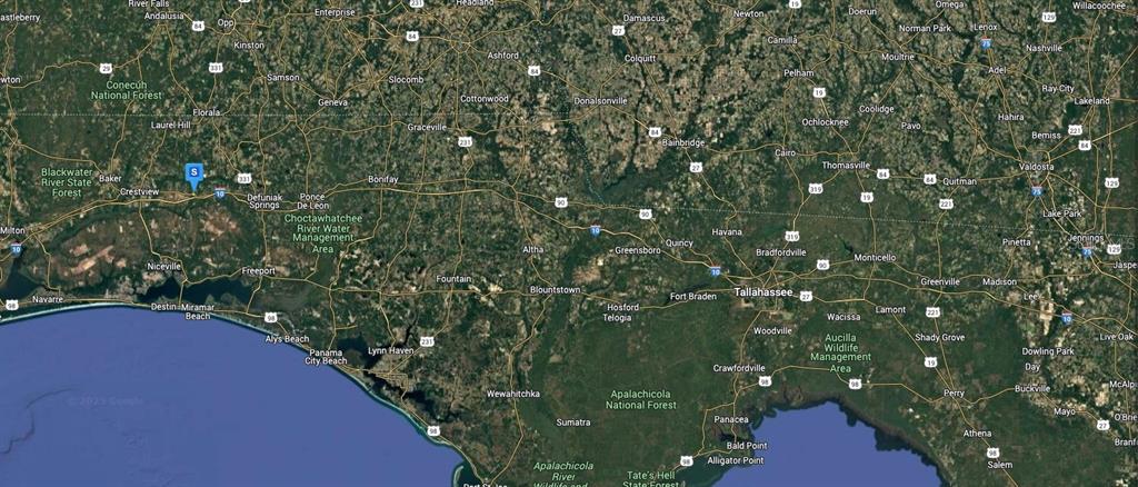 248 Elmwood Road DeFuniak Springs, FL 32433 - Photo 6 of 6 a view of a forest