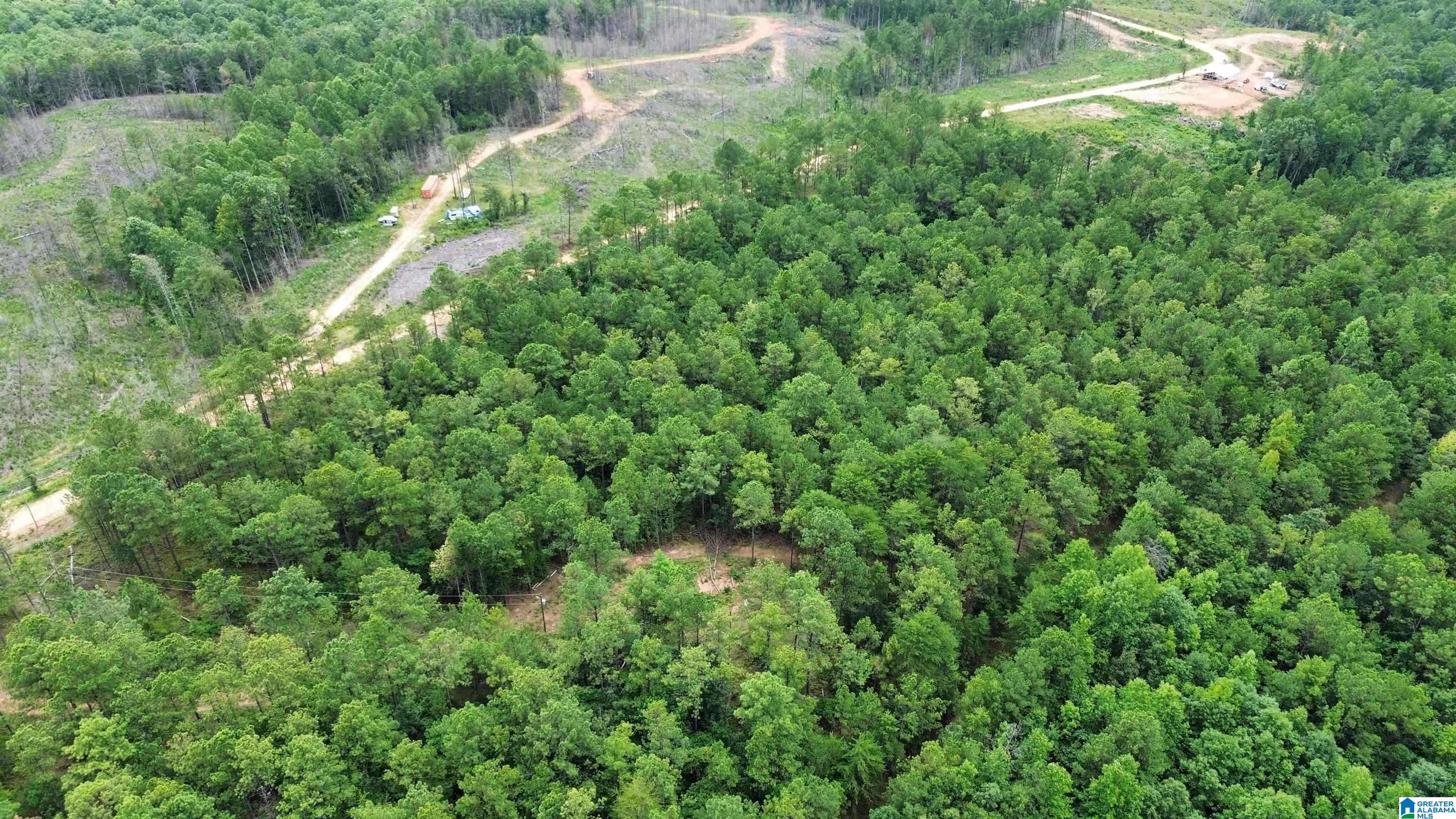 204 County Road 485 Clanton, AL 35046 - Photo 3 of 5