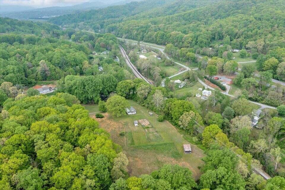 1038 Adelaide Lane Blue Ridge, VA 24064 - Photo 20 of 23 an aerial view of residential houses with outdoor space and trees