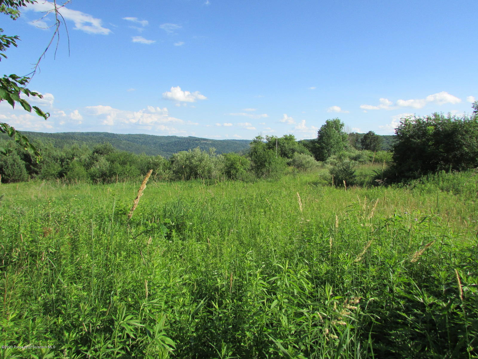 Fields