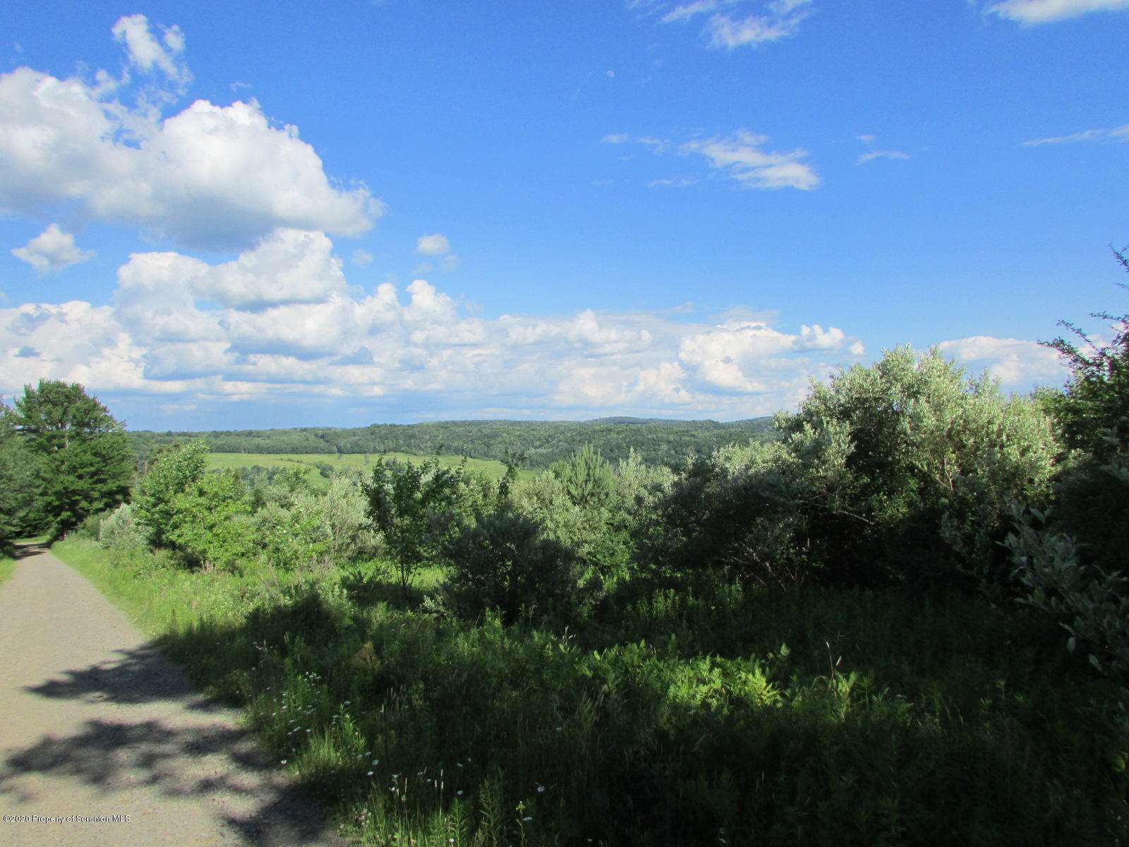Stephen Jones Road Friendsville, PA 18818 - Photo 11 of 15 Fields & Views