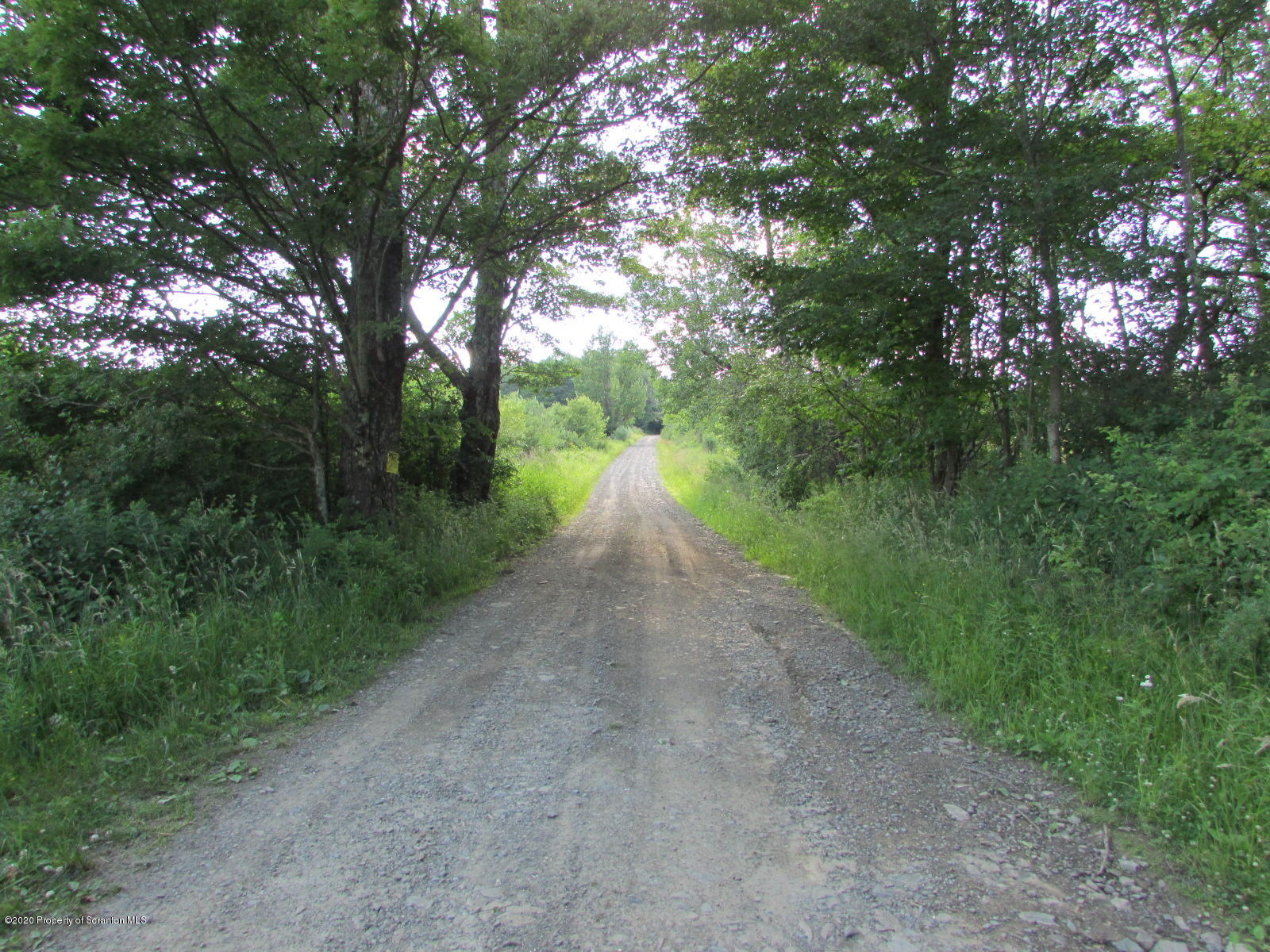 Stephen Jones Road Friendsville, PA 18818 - Photo 15 of 15 Stephen Jones Road
