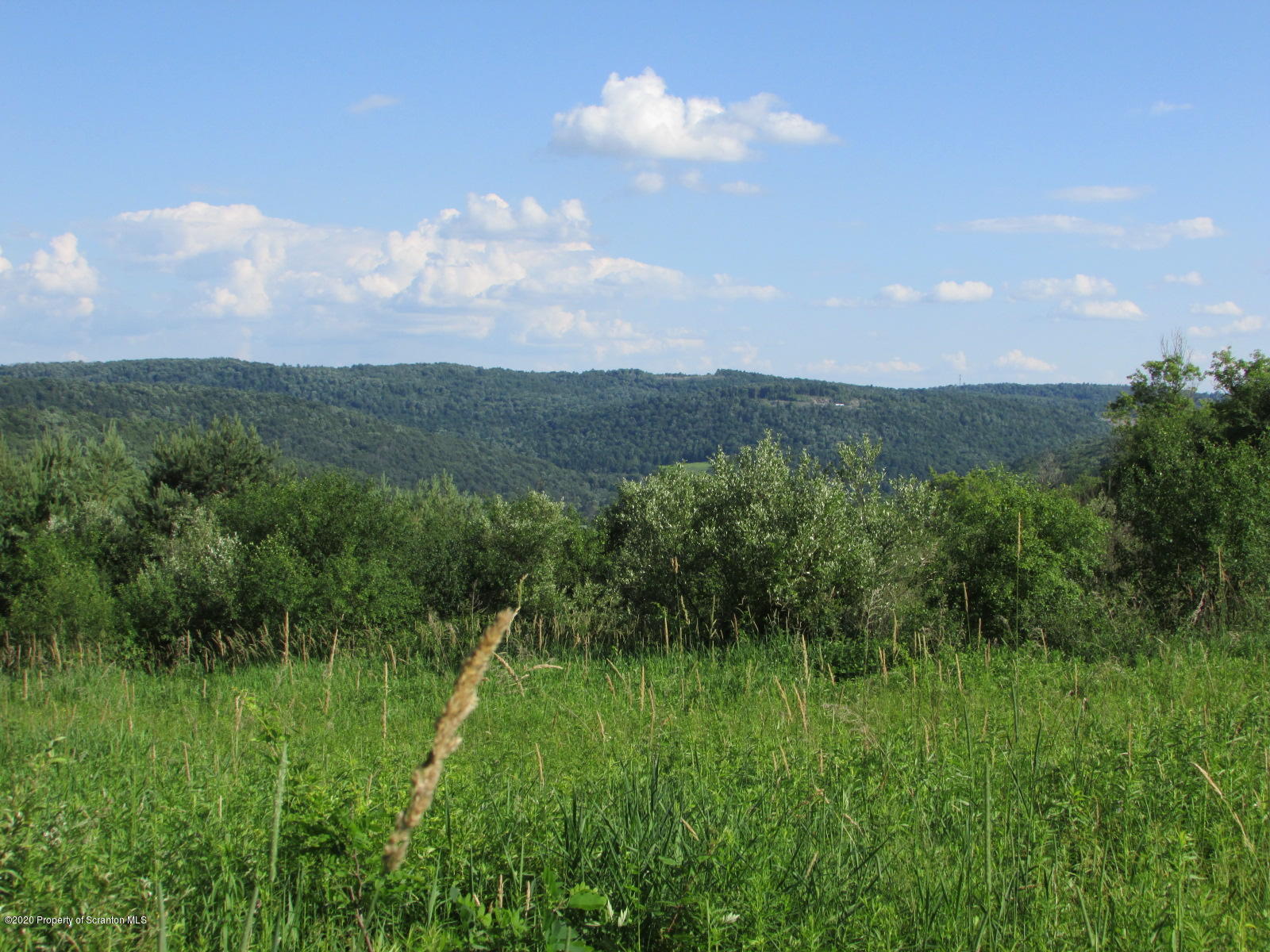 Stephen Jones Road Friendsville, PA 18818 - Photo 2 of 15 Fields & views