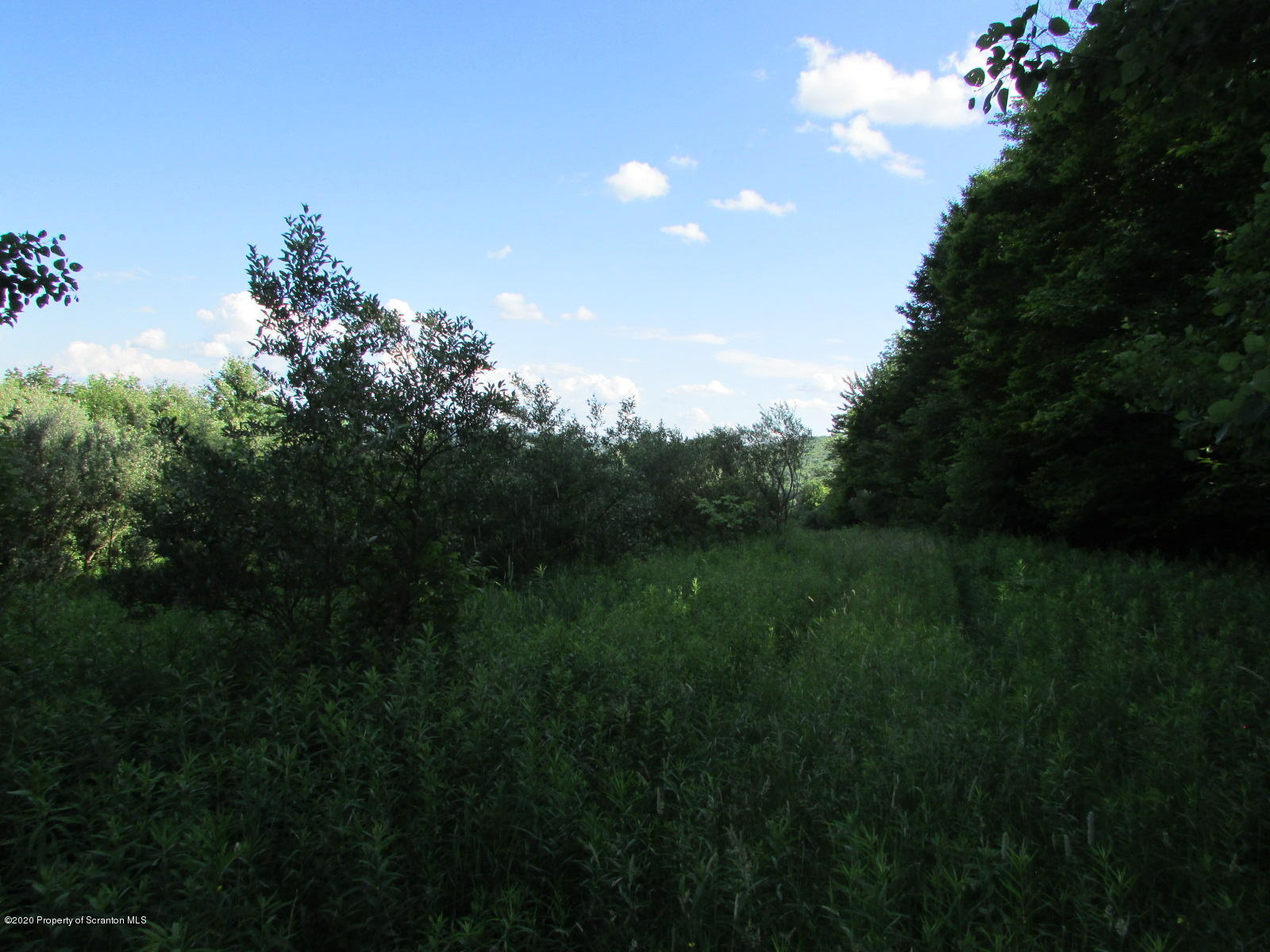 Stephen Jones Road Friendsville, PA 18818 - Photo 4 of 15 Fields & Woods