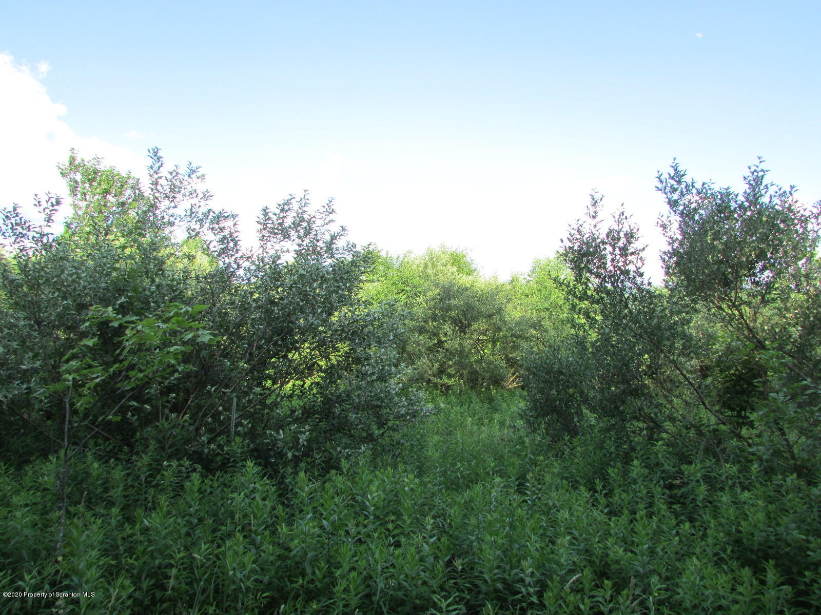 Stephen Jones Road Friendsville, PA 18818 - Photo 5 of 15 Overgrown fields