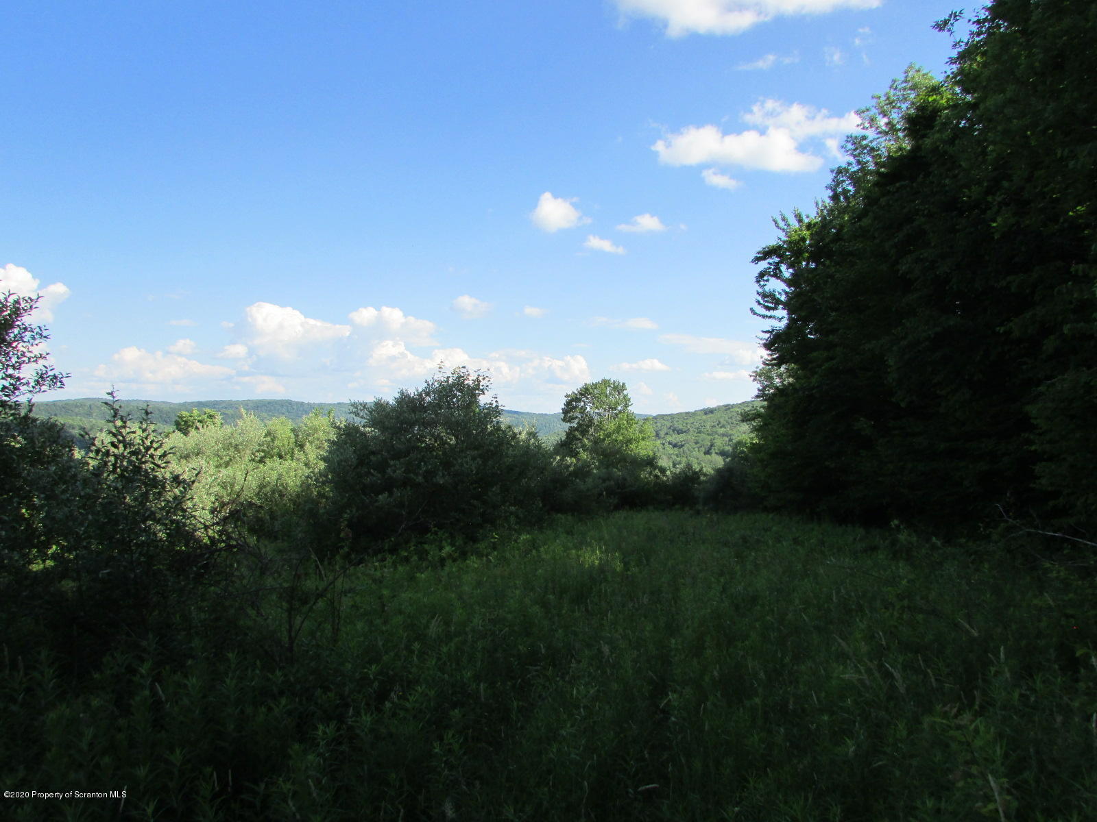 Stephen Jones Road Friendsville, PA 18818 - Photo 6 of 15 Views