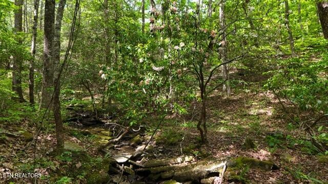9607 Barbee Road Soddy-Daisy, TN 37379 - Photo 7 of 22