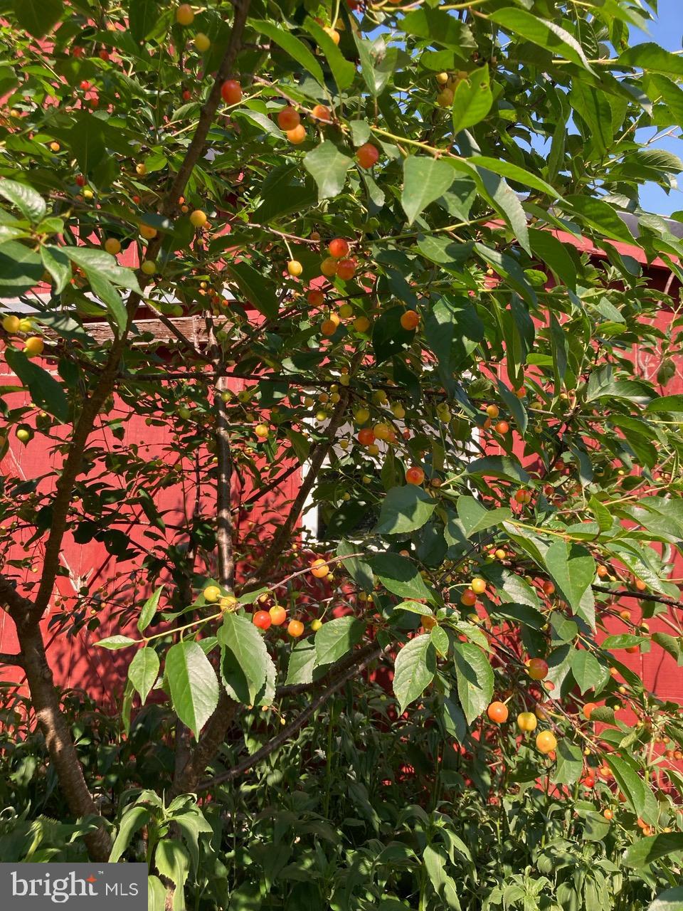 3085 Indian Run Road Amissville, VA 20106 - Photo 29 of 32