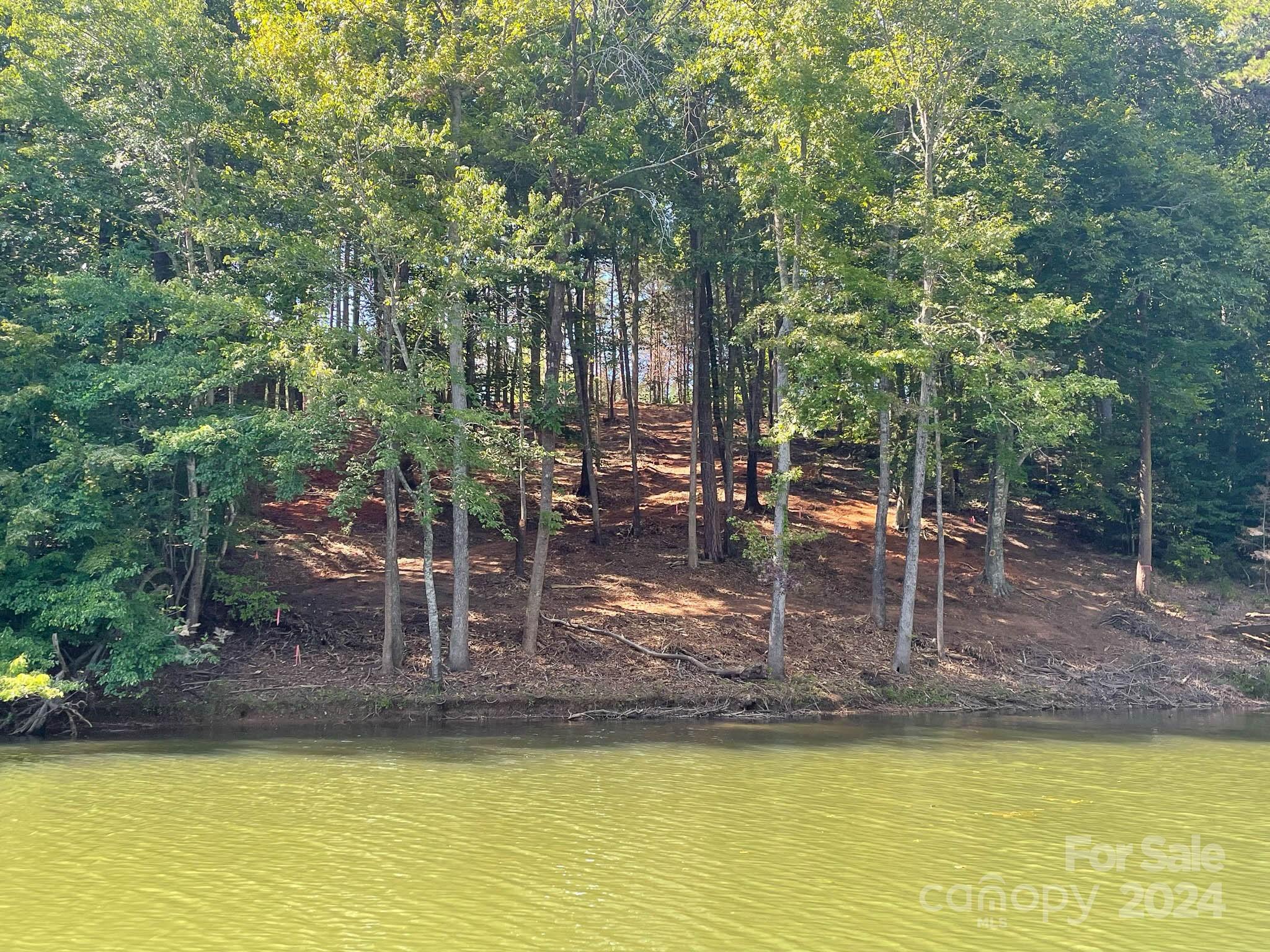 195 Riverwalk Road Stony Point, NC 28678 - Photo 1 of 21