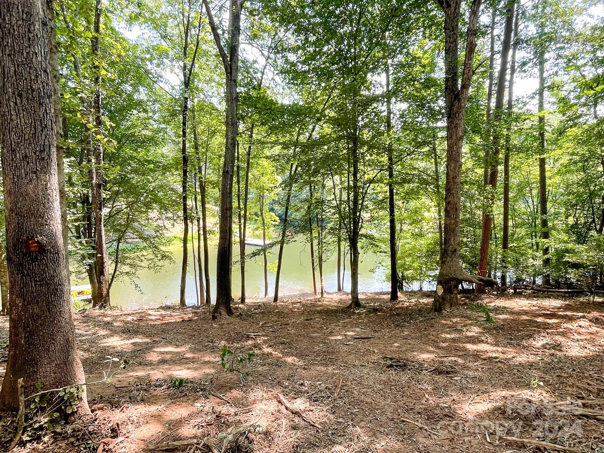 195 Riverwalk Road Stony Point, NC 28678 - Photo 11 of 21