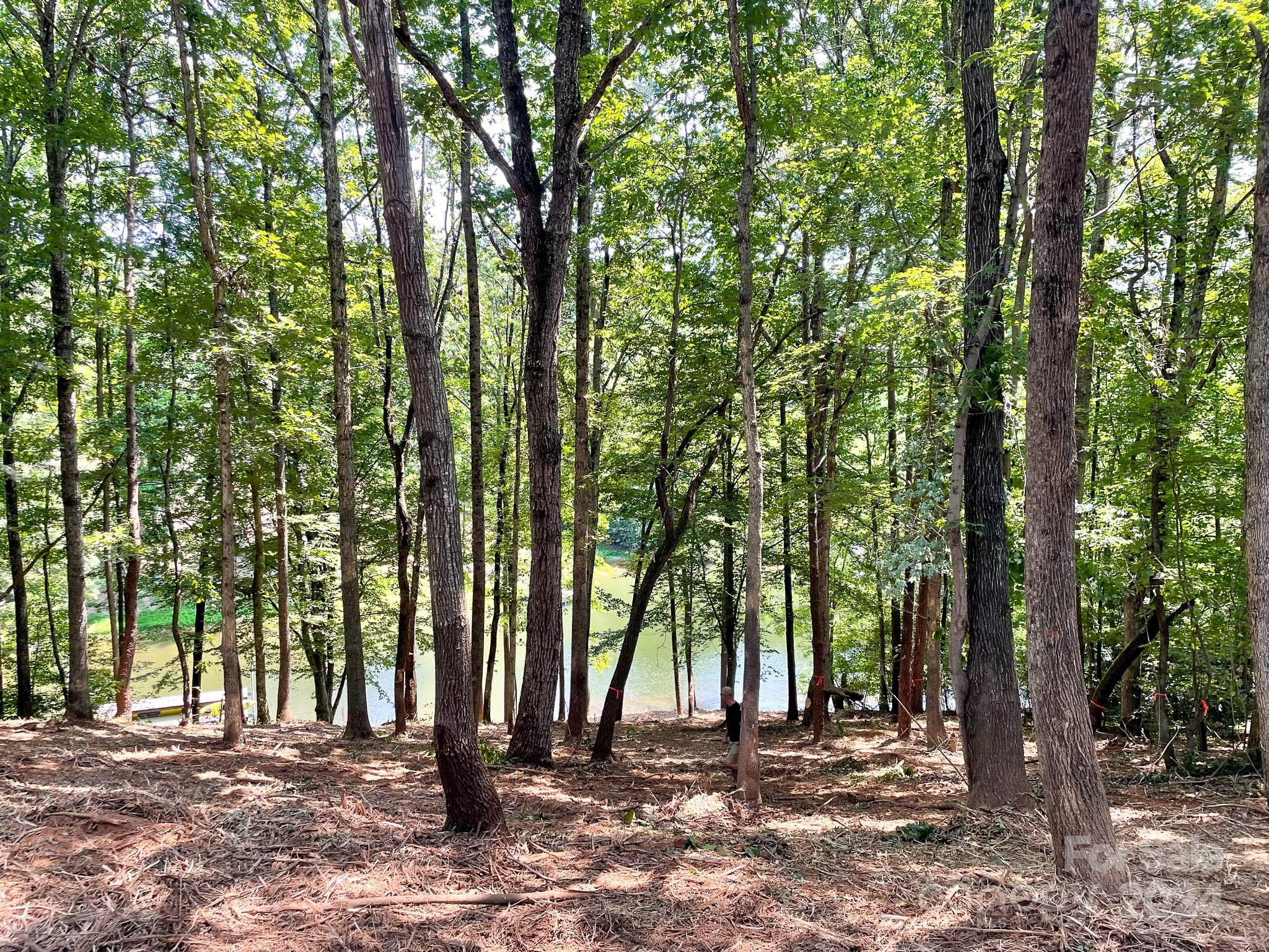 195 Riverwalk Road Stony Point, NC 28678 - Photo 12 of 21