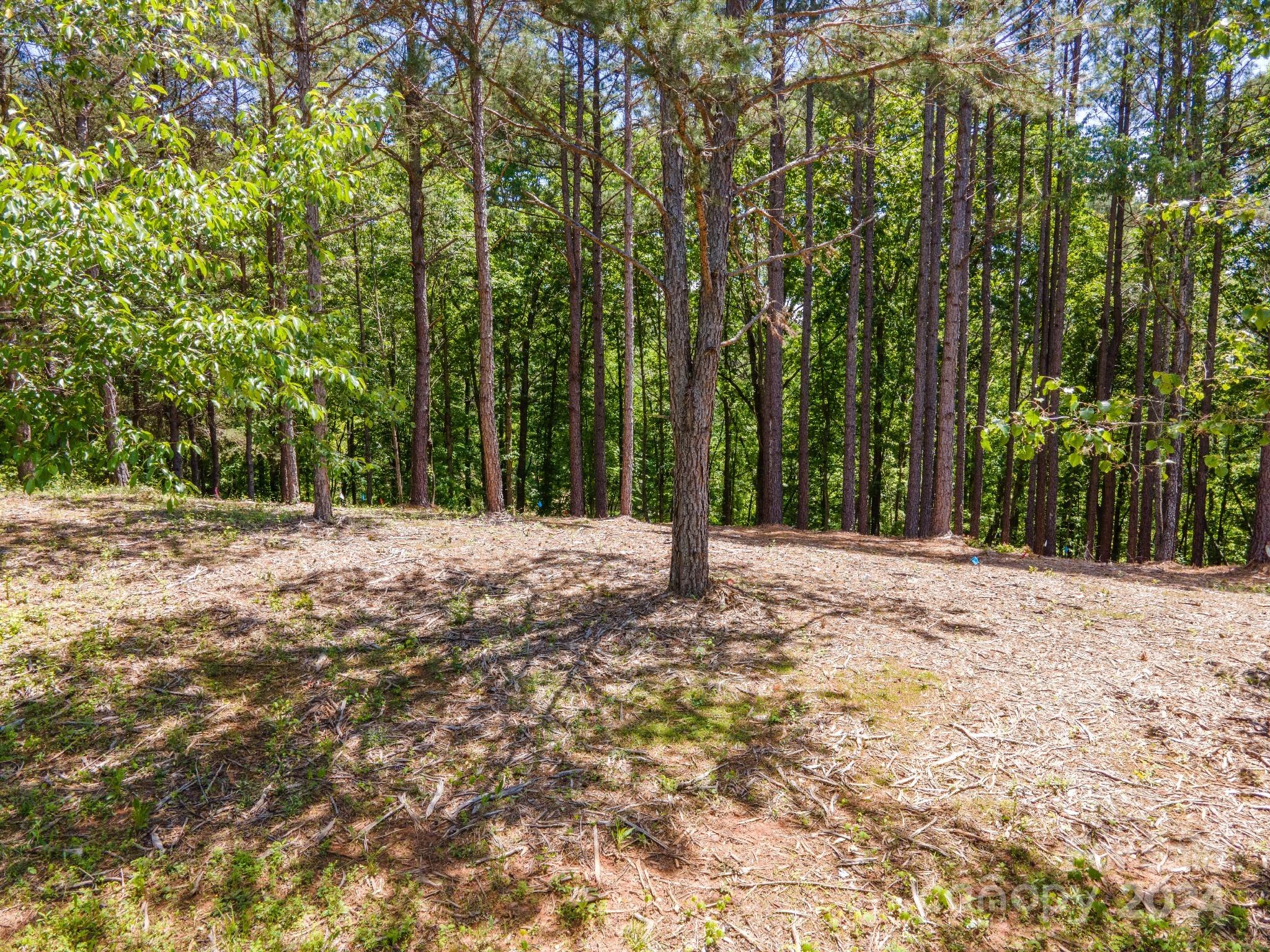 195 Riverwalk Road Stony Point, NC 28678 - Photo 13 of 21