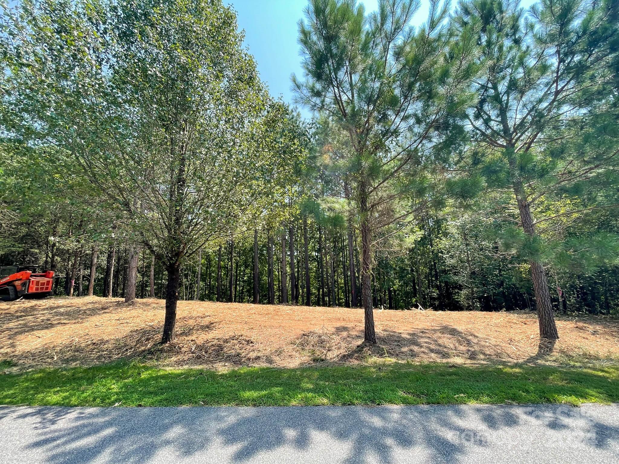 195 Riverwalk Road Stony Point, NC 28678 - Photo 15 of 21