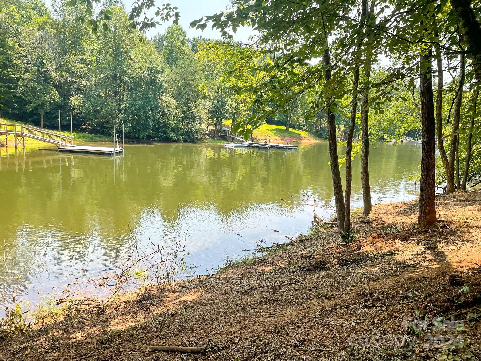 195 Riverwalk Road Stony Point, NC 28678 - Photo 9 of 21