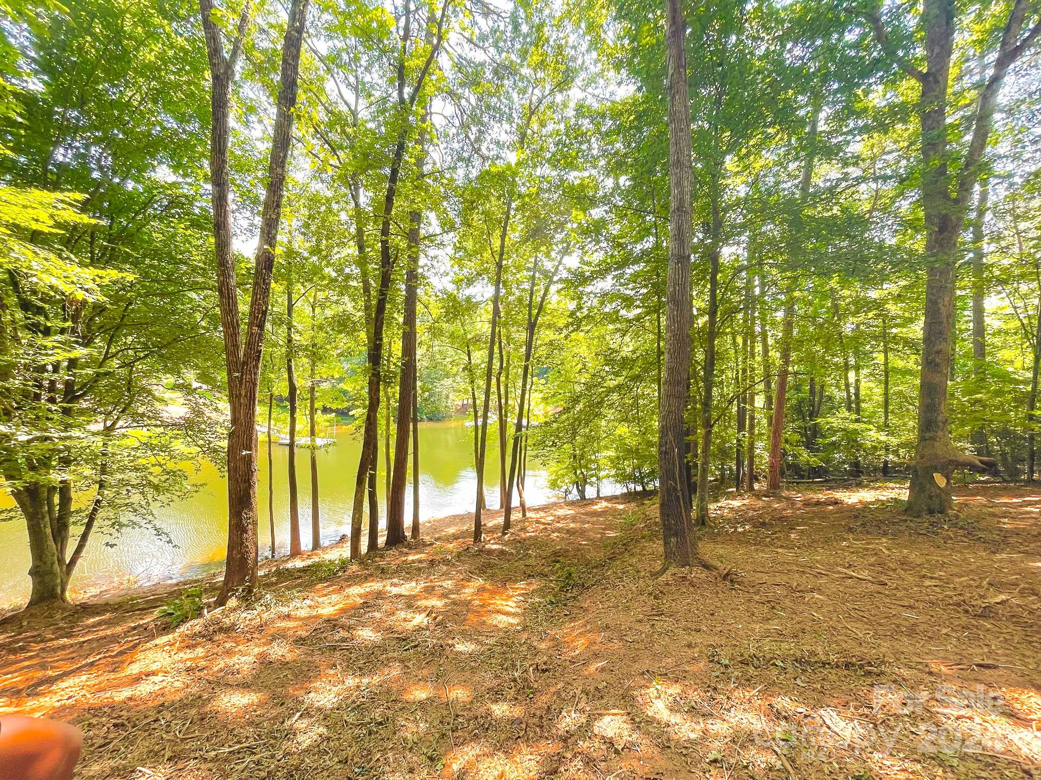 195 Riverwalk Road Stony Point, NC 28678 - Photo 10 of 21