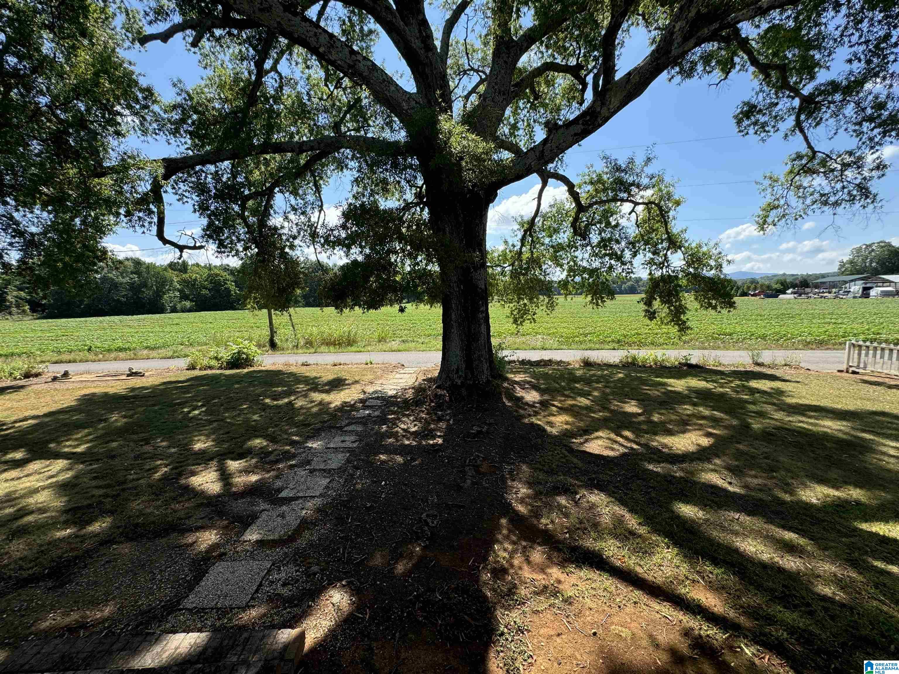 431 North Old Ladiga Road North Piedmont, AL 36272 - Photo 33 of 34