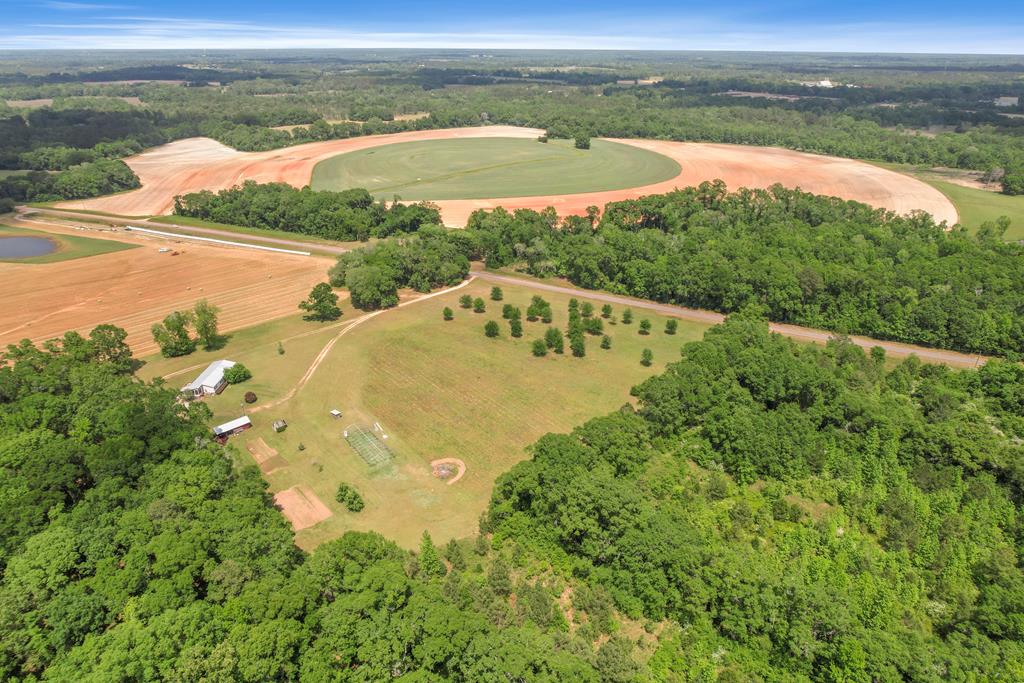 2376 Singletary Road Slocomb, AL 36375 - Photo 45 of 69