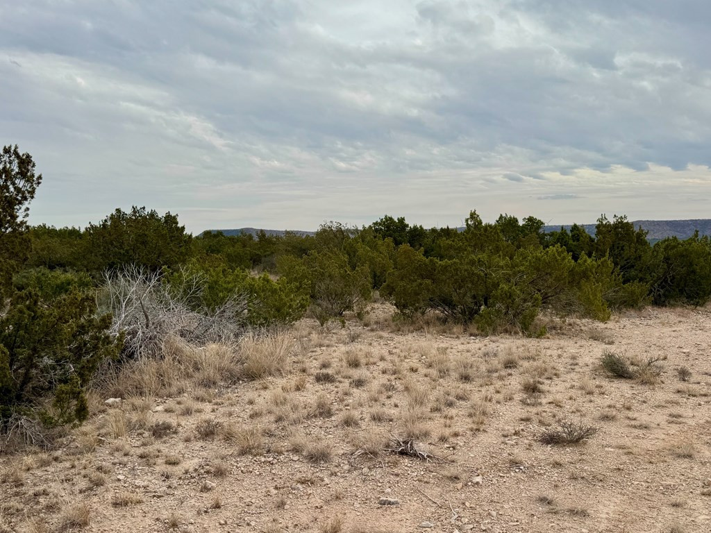 537 Lone Mills Road Robert Lee, TX 76945 - Photo 8 of 24 Photo 8