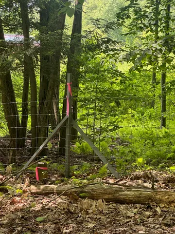 $65,000 | 123 Highway 5, Unit LOT #2, Westminster, VT 05346