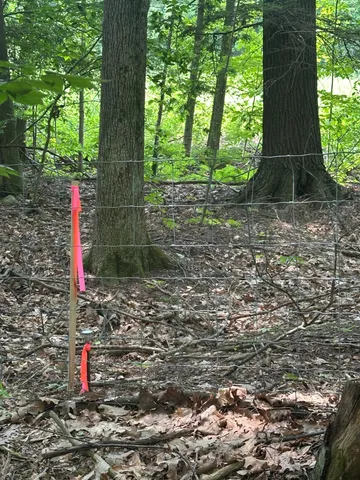 $65,000 | 123 Highway 5, Unit LOT #2, Westminster, VT 05346