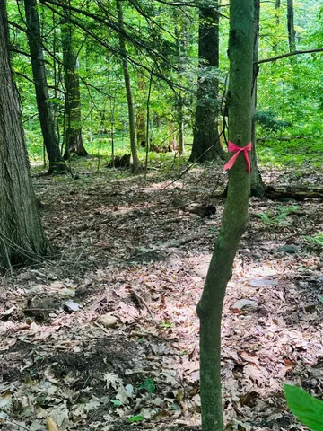 $65,000 | 123 Highway 5, Unit LOT #2, Westminster, VT 05346