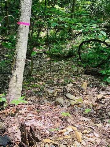 $65,000 | 123 Highway 5, Unit LOT #2, Westminster, VT 05346