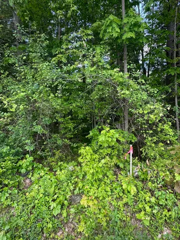 $65,000 | 123 Highway 5, Unit LOT #2, Westminster, VT 05346