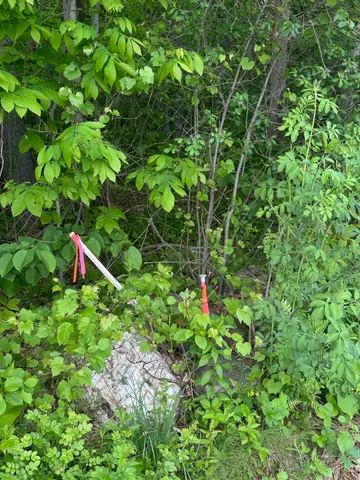 $65,000 | 123 Highway 5, Unit LOT #2, Westminster, VT 05346