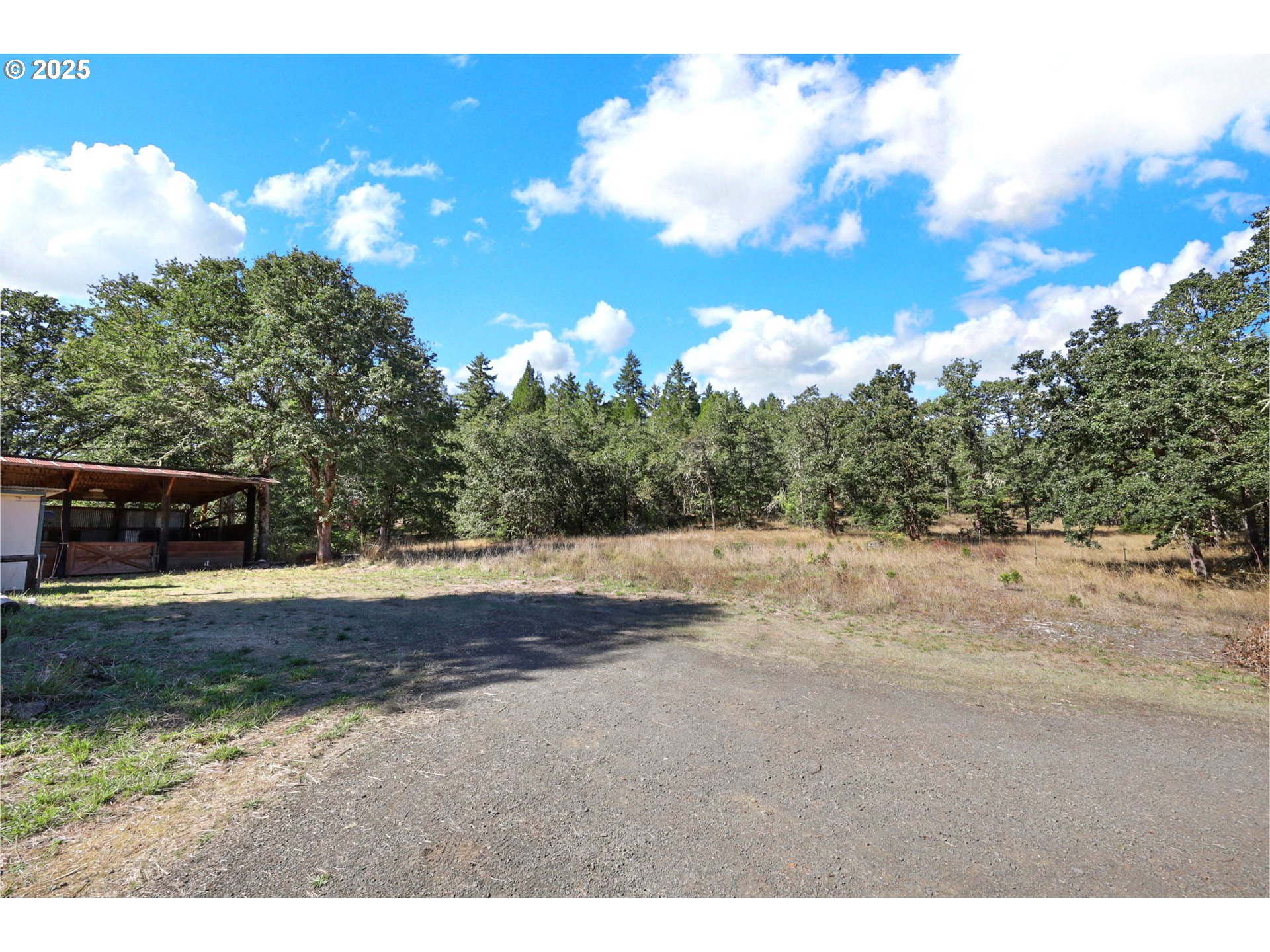 31145 Kenady Lane Cottage Grove, OR 97424 - Photo 32 of 47 a view of a yard with a tree