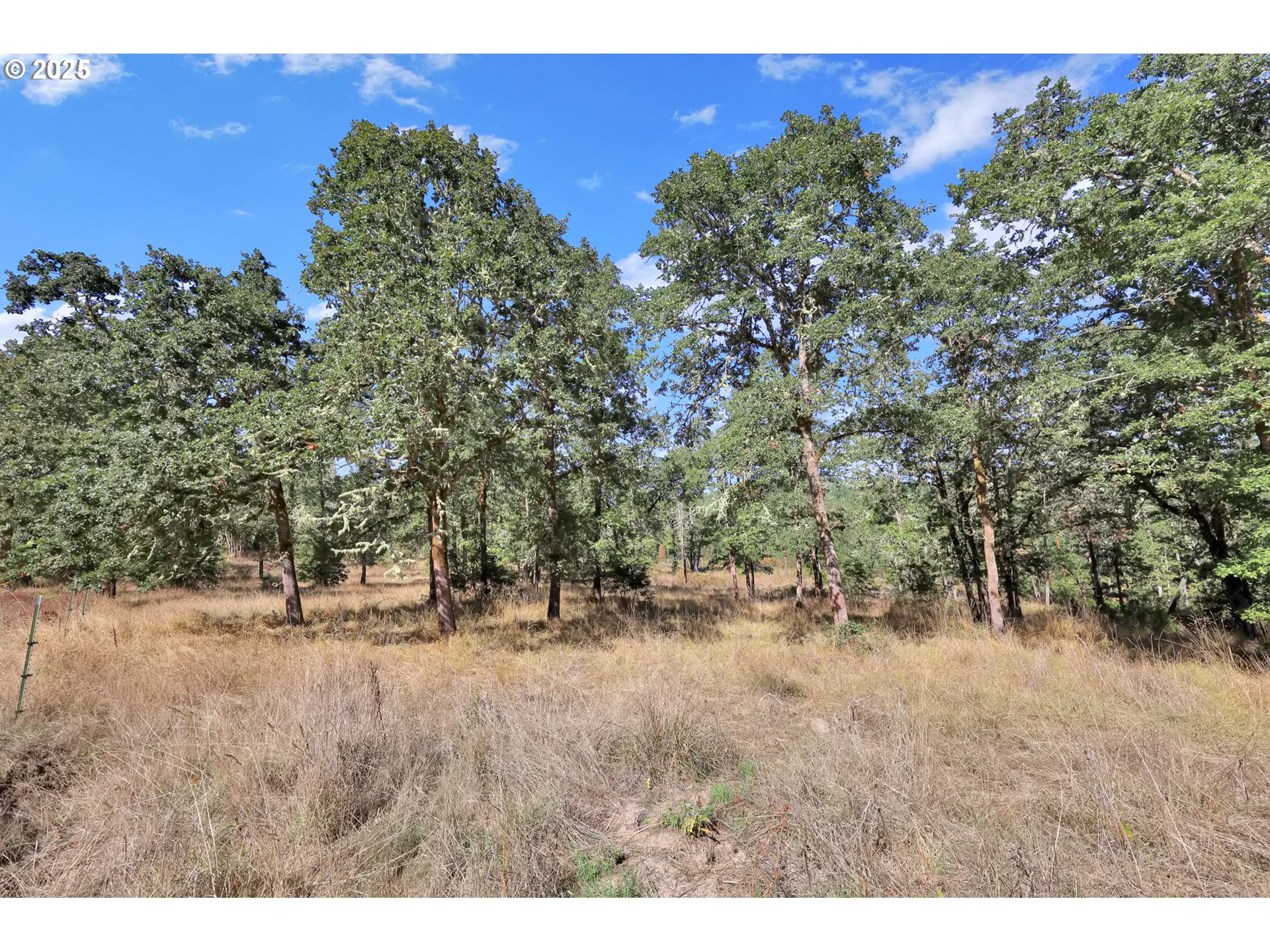 31145 Kenady Lane Cottage Grove, OR 97424 - Photo 43 of 47 a view of a outdoor space
