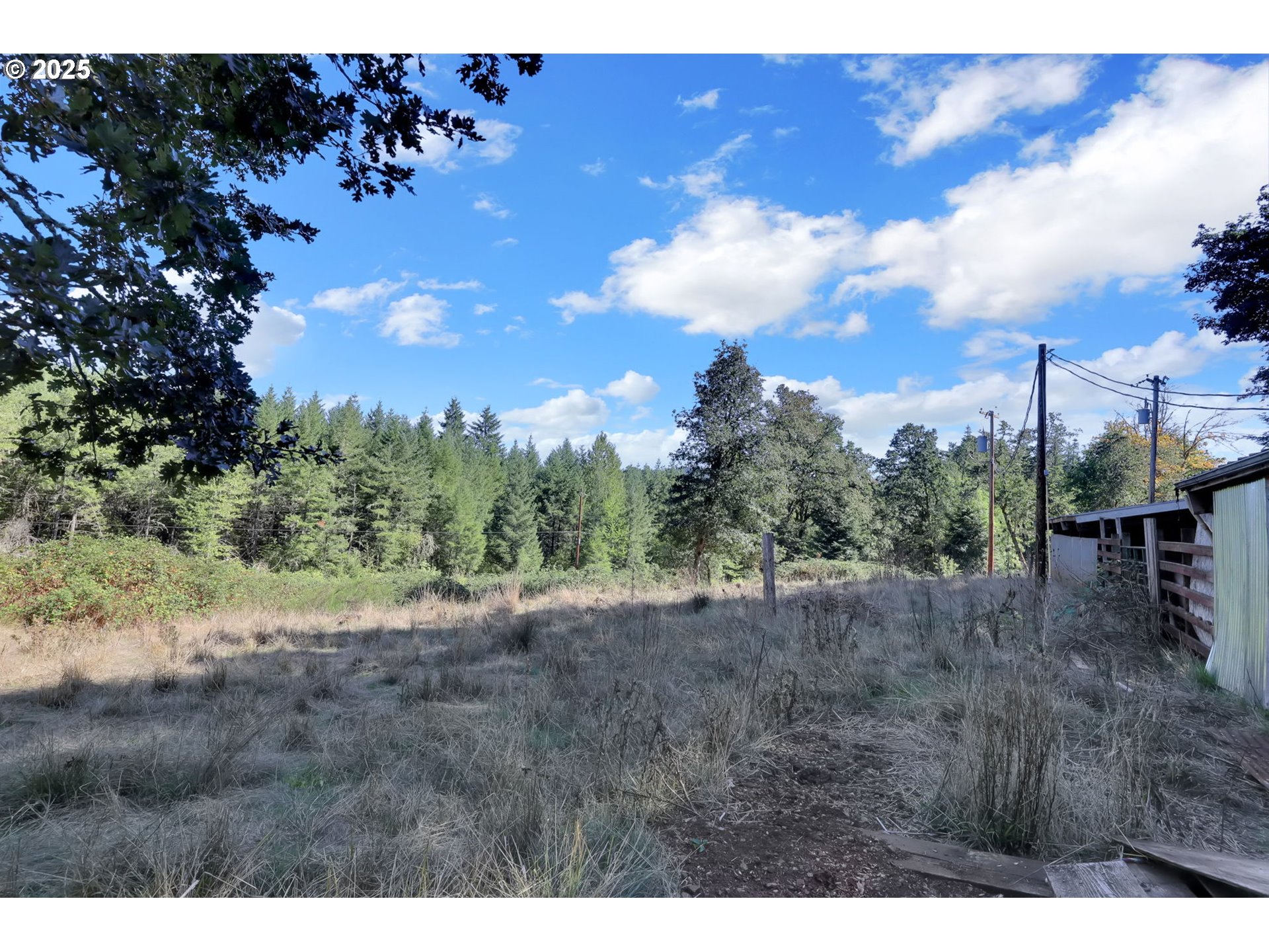 31145 Kenady Lane Cottage Grove, OR 97424 - Photo 44 of 47 a view of a yard