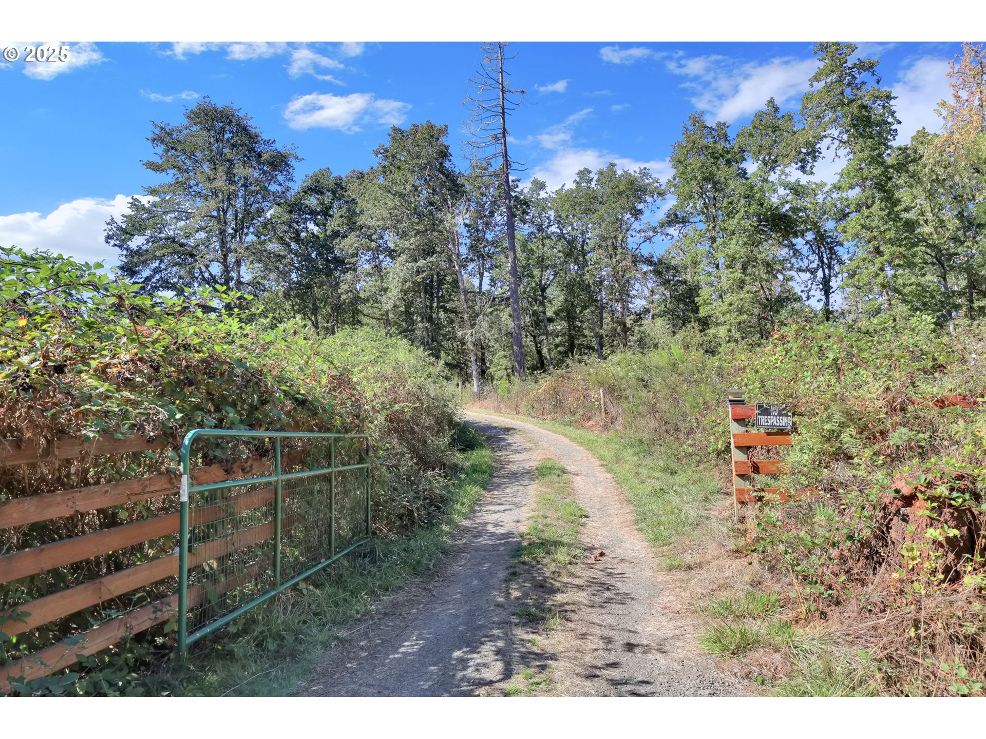 31145 Kenady Lane Cottage Grove, OR 97424 - Photo 46 of 47 a view of a backyard