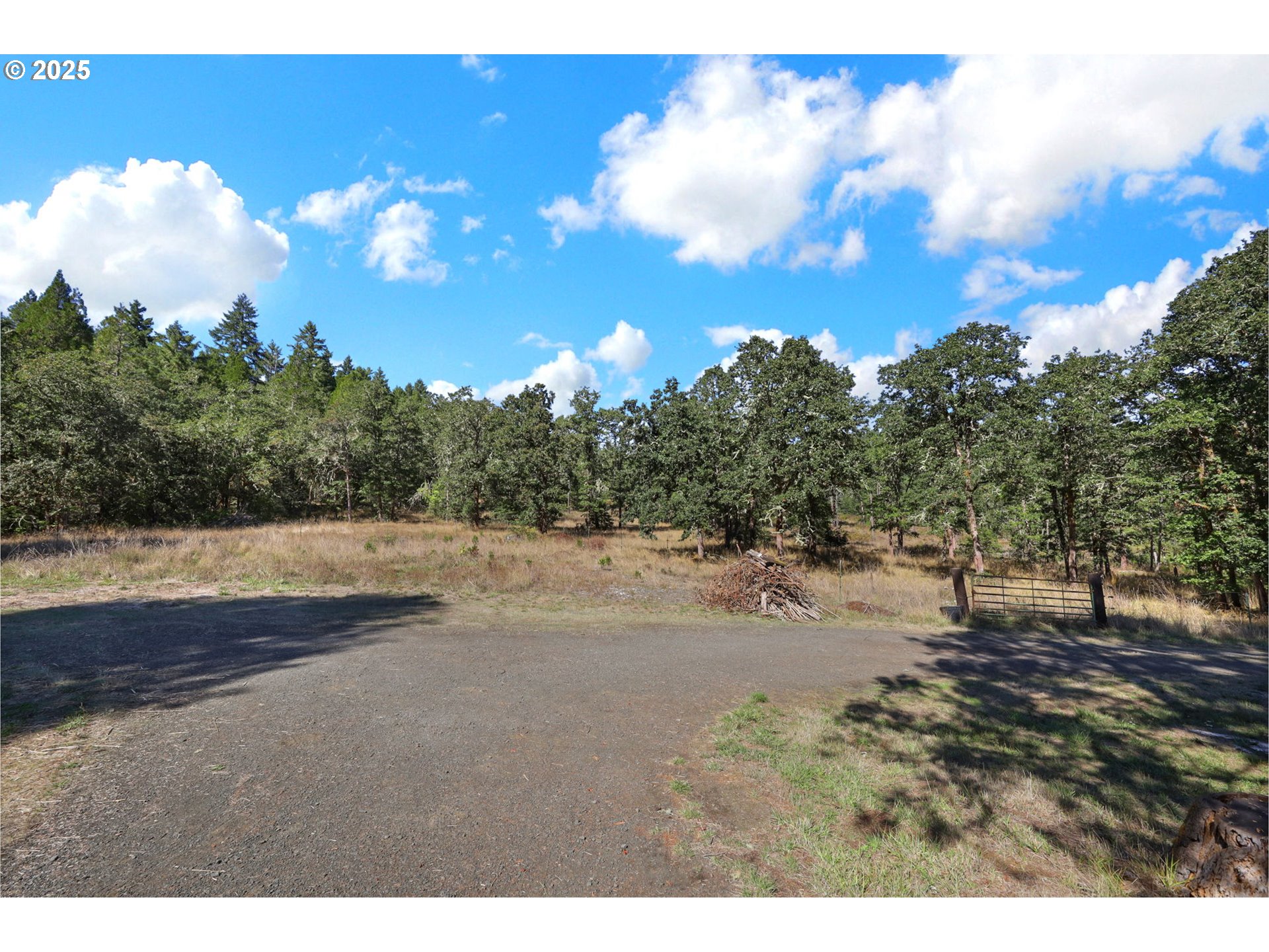 31145 Kenady Lane Cottage Grove, OR 97424 - Photo 7 of 47 a view of a yard with a tree