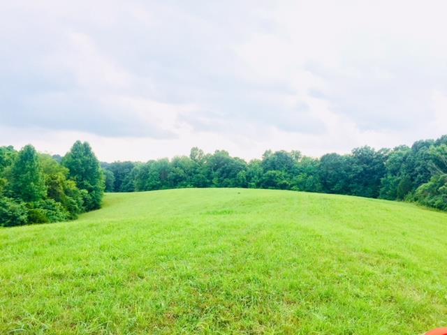 62.22-ac Weed-Keltner Road Columbia, KY 42728 - Photo 6 of 17 Gallery Image 6