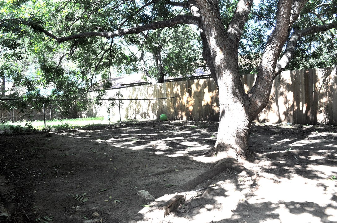 2616 Berkeley Avenue, Unit A Austin, TX 78745 - Photo 11 of 11 a view of a yard with a tree