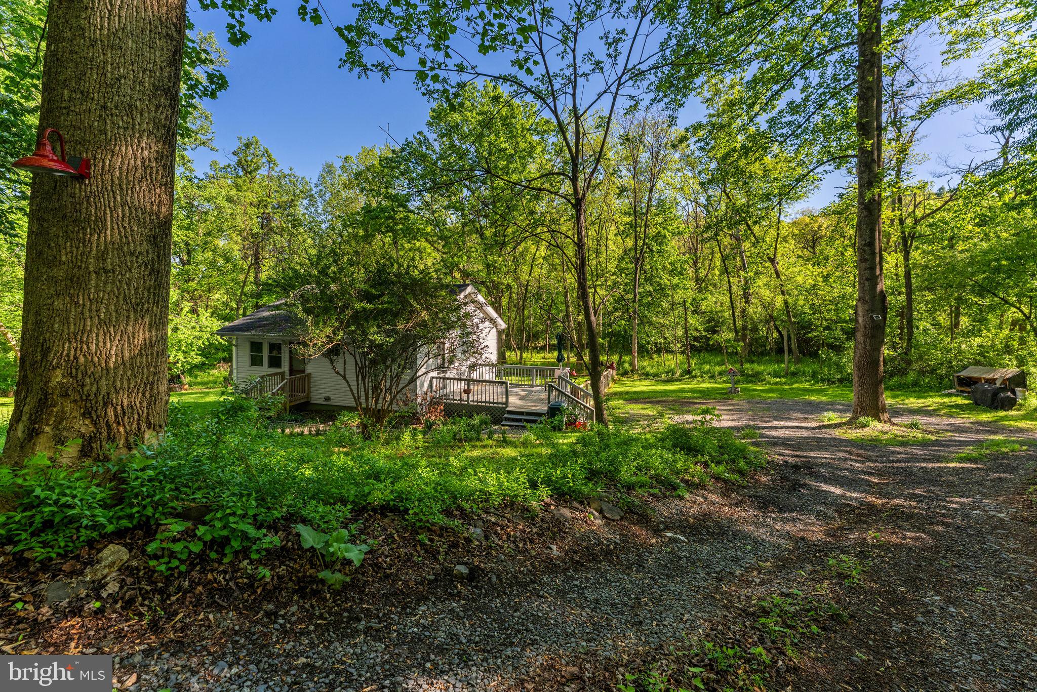 673 Creek Road Front Royal, VA 22630 - Photo 11 of 64 Serene woodland retreat awaits you.