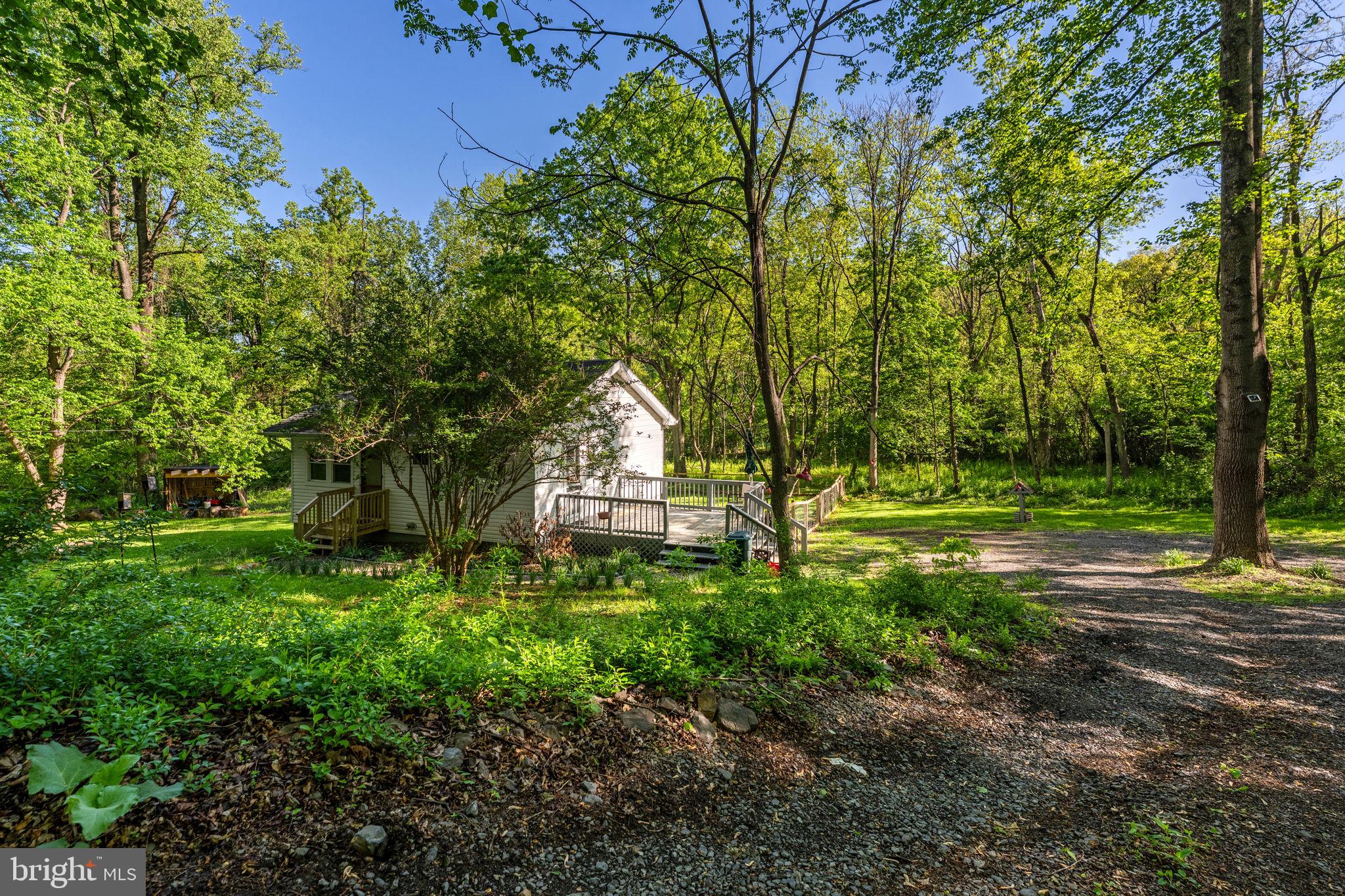 673 Creek Road Front Royal, VA 22630 - Photo 12 of 64 Charming retreat in lush greenery.