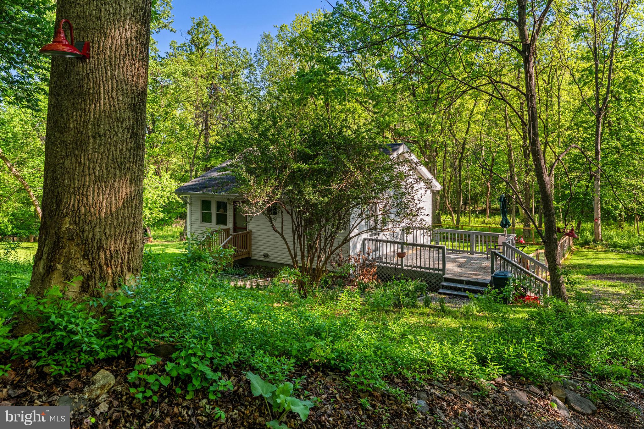 673 Creek Road Front Royal, VA 22630 - Photo 13 of 64 Charming retreat in lush greenery.