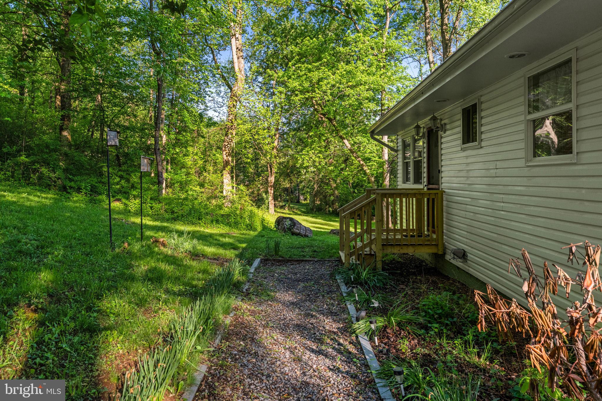 673 Creek Road Front Royal, VA 22630 - Photo 56 of 64 Serene pathway to nature's embrace.
