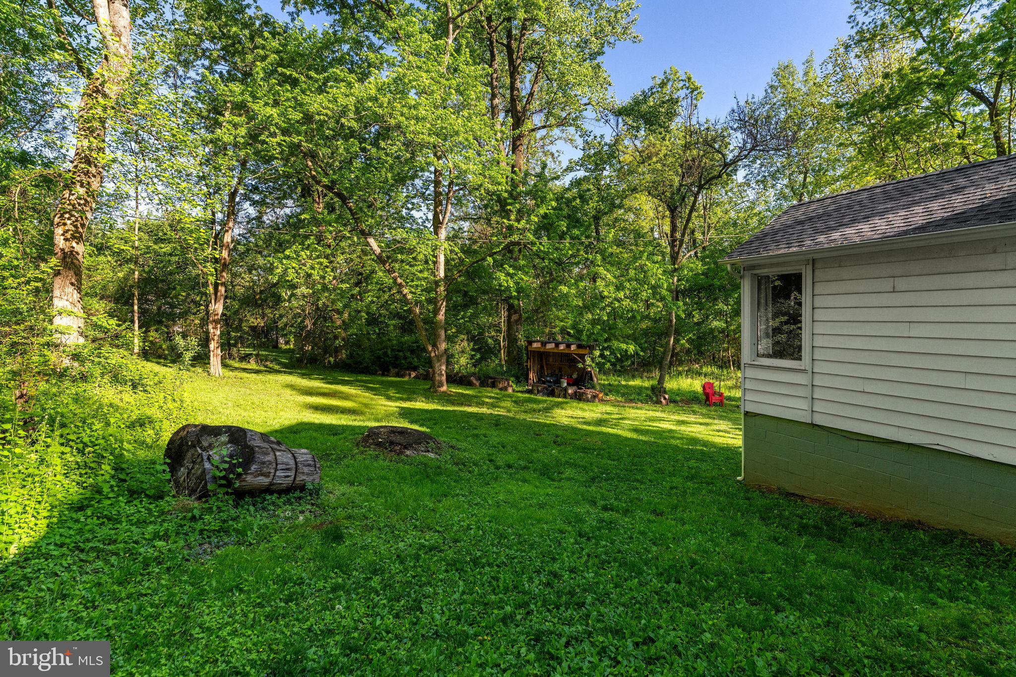 673 Creek Road Front Royal, VA 22630 - Photo 57 of 64 Serene backyard oasis in lush greenery.