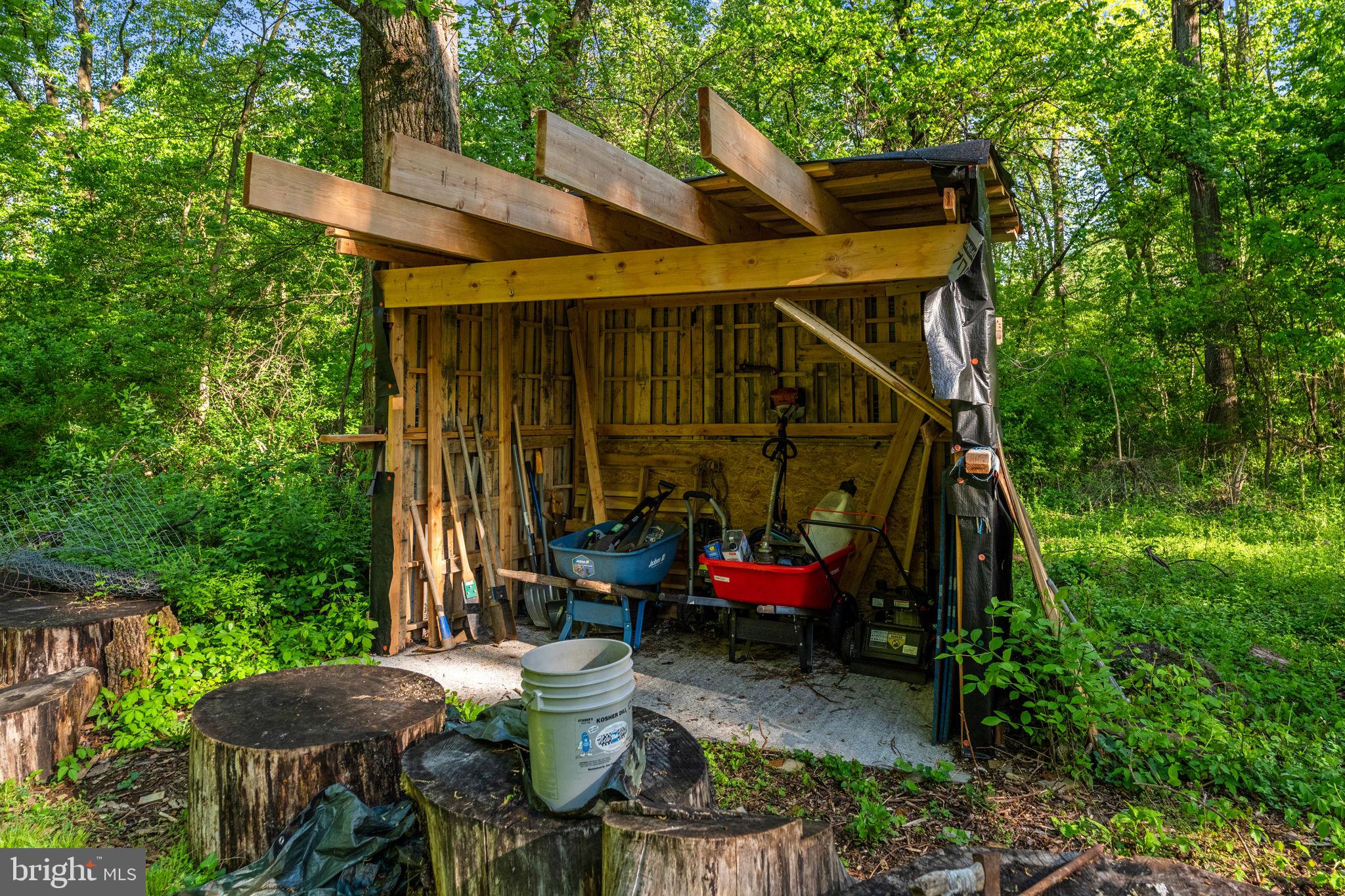 673 Creek Road Front Royal, VA 22630 - Photo 59 of 64 Rustic shed nestled in lush greenery.