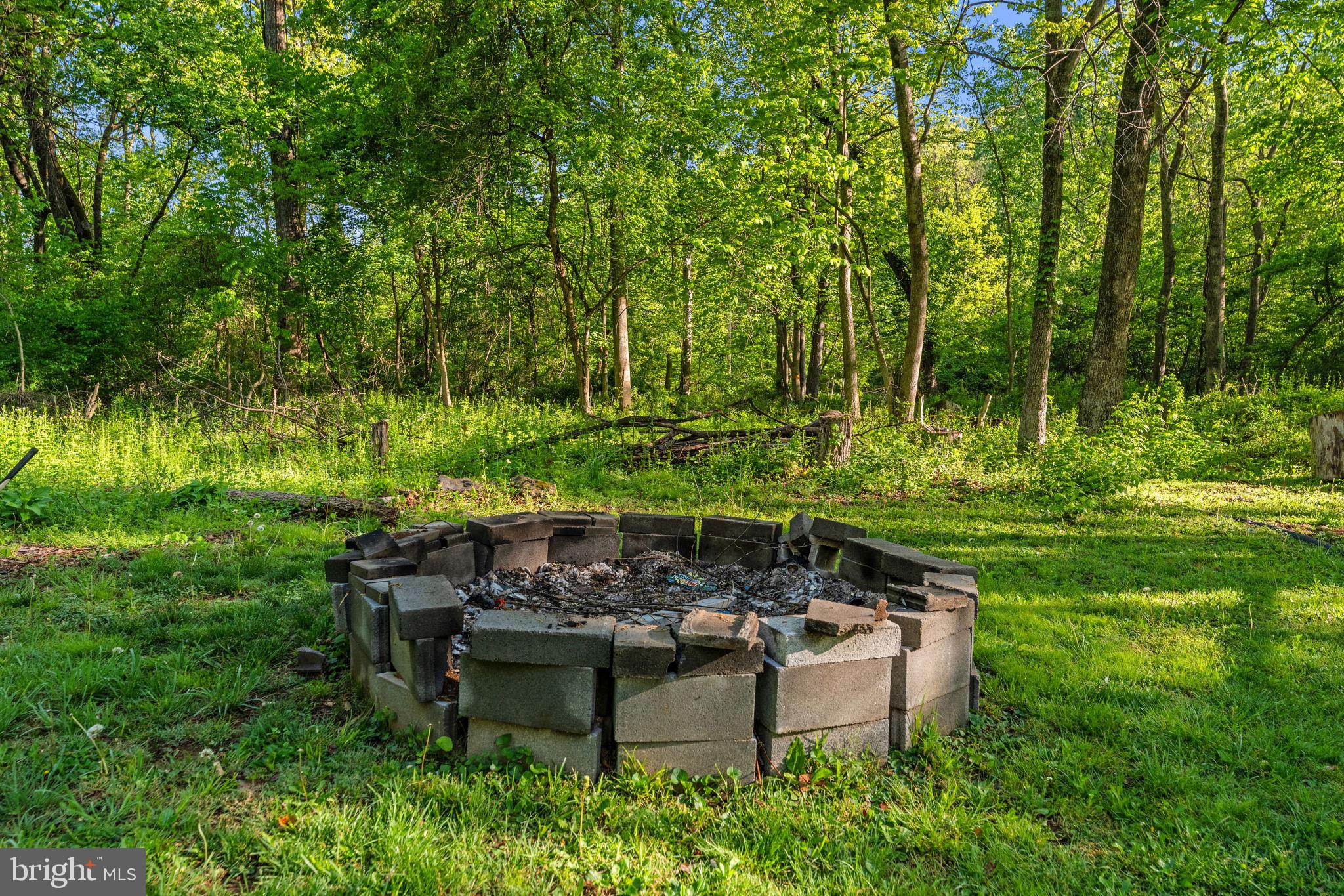 673 Creek Road Front Royal, VA 22630 - Photo 60 of 64 Serene fire pit in lush greenery.